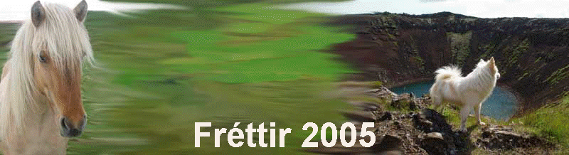 Frttir 2005