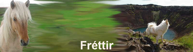 Frttir