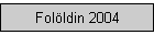 Folldin 2004