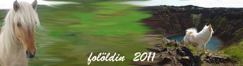 folldin  2011