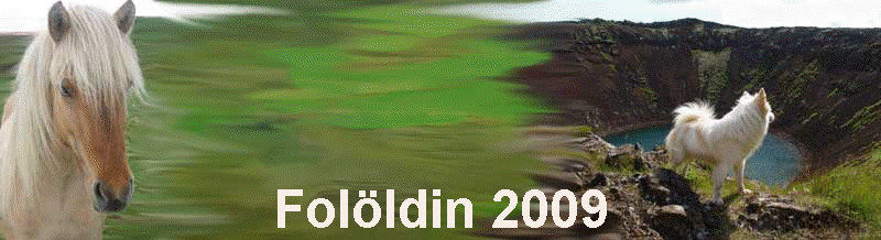 Folldin 2009