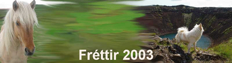Frttir 2003