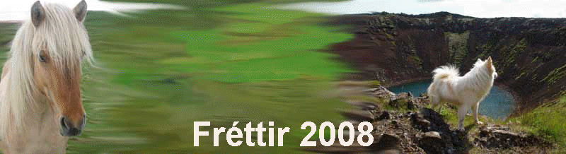 Frttir 2008