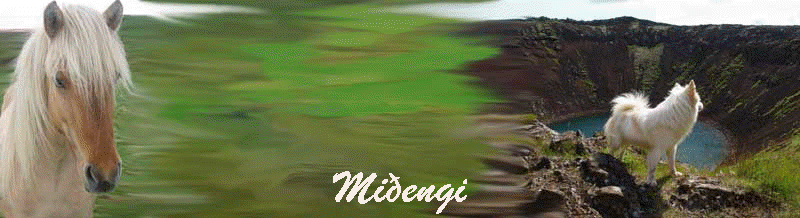 Miengi